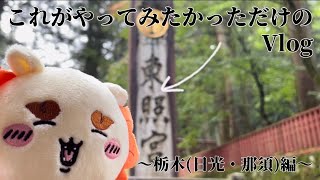 【Vlog】推しぬいを振り向かせるやつをやってみたかった旅行記【日光・那須編】