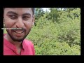 nagamale trekking jeep jeepdrive offroad mmhills madeshwara