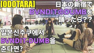 [ODOTARA] K-POP IN PUBLIC JAPAN | BVNDIT(밴디트) - DUMB(덤) | 케이팝커버댄스 KPOP COVER DANCE