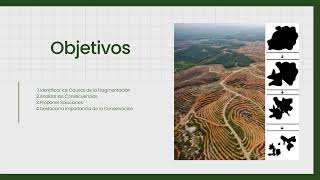 Final Ecología General  Diagnóstico Fragmentación del Hábitat en Panamá