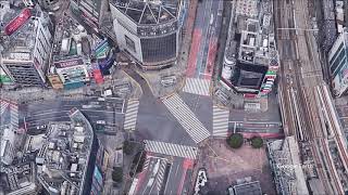 渋谷スクランブル交差点 / Shibuya scramble crossing