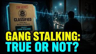 The Terrifying Truth About Gang Stalking Claims (An Objective Analysis)