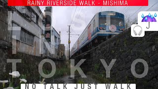 Rainy Riverside Walk in Cherry Blossoms Season《Ambient Sound》源兵衛川