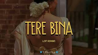 Tere Bina - Lofi 🍂 Hindi Lofi 🍂