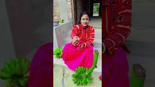 গাছেই কলা পেকে গেছে 😍😍#youtube #longvideo