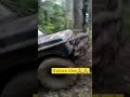 Gasss PTO Kencang #offroad #suzuki #jimny #video #subscribe