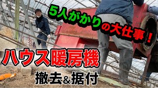 【ネポン】男5人がかり！急斜面のぶどう園でハウス暖房機を撤去\u0026据付け！！【カオンキ】