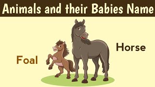 Animals and their babies name in English | Baby Animals name for kids | Animals and their young ones