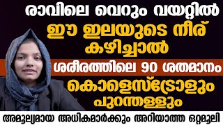 രാവിലെ വെറും വയറ്റിൽ ഈ ഇലയുടെ നീര് കഴിച്ചാൽ ശരീരത്തിലെ 90 ശതമാനം