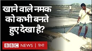 Salt Making Process : नमक कैसे बनाया जाता है? (BBC Hindi)