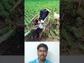 மாட்டு வண்டி ஸ்பிரேயர் மெஷின் 🤔 agrotechnology agriculture agriculturetechnology farming 💥💥