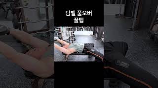 덤벨 풀오버 꿀팁