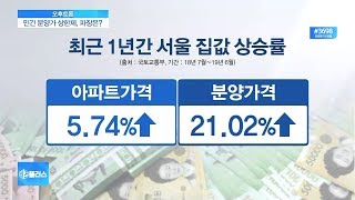 [비즈플러스 다시보기]  정부, 민간 분양가 상한제 10월 시행 추진…시점 적절한가?