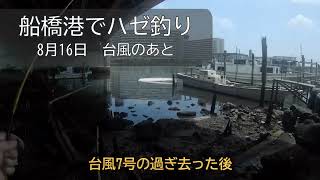 2024 8 16 ハゼ船橋港でハゼ釣り（青潮の影響あり）