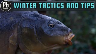 CARP FISHING IN WINTER (Tips and Tactics for Success)