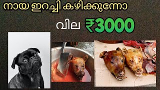 dog meat fry, നായ ഇറച്ചി ഫ്രൈ കേട്ടിട്ടുണ്ടോ..