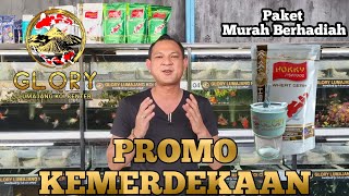 IKAN KOI PAKET MURAH BERHADIAH || PROMO KEMERDEKAAN