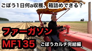 カルチ 中耕 【トラクター】マッセイファーガソンMF135 かっちのごぼう カルチ完結編