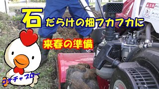 Plow the field【畑を耕す】石だらけだった畑をフカフカにするぞ　　コケちゃぶろー