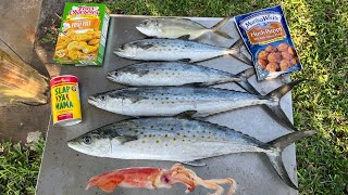 Squid and Spanish Mackerel Catch n' Cook on a Florida Pier!