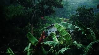 Rainforest Ambience: Rain Sounds, Jungle Animals and Thunder in the Distance | Relaxing Sleep Sounds