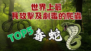 奇聲奇聞-世界上最具攻擊及劇毒的五大毒蛇 #世界之最 #top