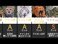 難しい言語を動物で例えてみた