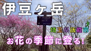 伊豆ヶ岳（埼玉県）　ピストン登山　正丸駅からスタート！　春を楽しむ！　埼玉県飯能市【山と音楽　m♪し音】