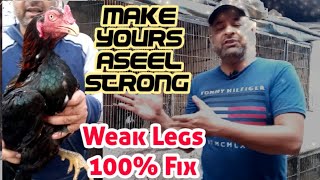 Strong Birds, Weakness Leg Weak Now 100% Fix | FaisalButt Murga Information