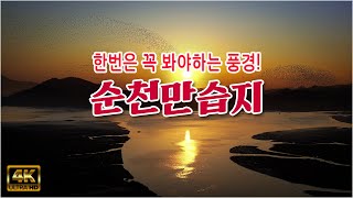 한번은 꼭 봐야한다는 풍경! - 순천만습지! 여행 코스와 미리보기 / 생태체험선, 갈대군락지, 갈대습지, 용산전망대, 가창오리 군무 / 순천여행 가볼만한 곳