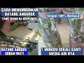 Cara Menumbuhkan~ Batang anggrek Dendrobium| yan sudah ga berpungsi~Bisa Tumbuh kembali@