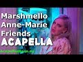 Marshmello & Anne-Marie – Friends (Acapella) Only Vocal