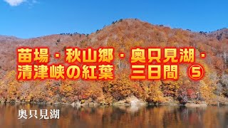 苗場・秋山郷・奥只見湖・清津峡の紅葉三日間⑤２０２３