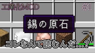 初手から詰みかけた工業化MOD【#1】【Minecraft】【mekanism】