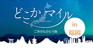 【どこかにマイル】1泊2日ごきげんなひとり旅｜福岡グルメ｜パワースポットで参拝〔＃41〕