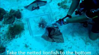 Netting.wmv