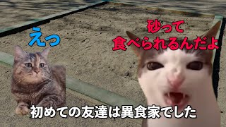 りくらぼの壮絶な学生時代を描いた軌跡【猫ミーム】