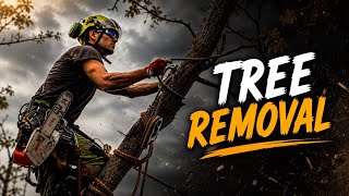 Walnut Tree Removal | Arborist Work