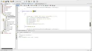 UCANACESS Insert Query