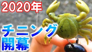 【チニング】今年も河口で蟹ワームをボトムズル引きしてみた！