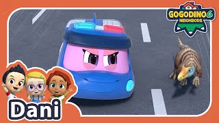 【GOGODINO S6】Sergeant Dani | New Character | Trailer | Dinosaur | Kids Cartoon | GOGODINO Neighbors