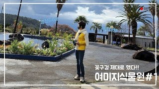 제주 여미지식물원 봄꽃 미리보기 #중문추천 #중문명소추천 #중문가야할곳