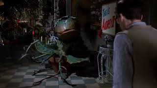 Little Shop Of Horrors - Audrey II Needs Blood