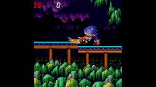 Sonic Tails Lost Their Mind Shorts