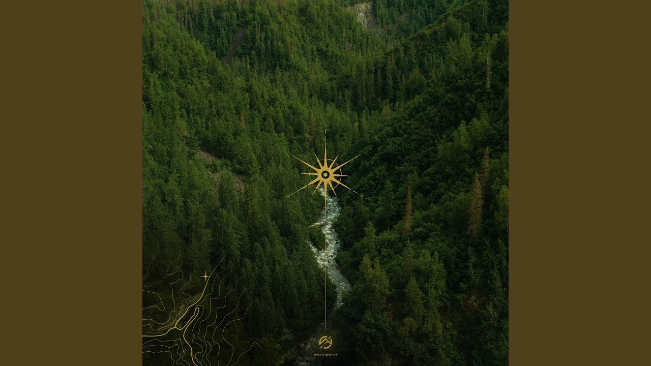 Sunlight Youtube Music