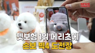 플랫폼 서비스 앞두고…펫보험 1등 메리츠에 빅4 도전장  [말하는 기자들_금융_0403]