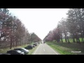 静内二十間道路桜並木