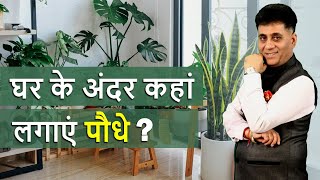 Numerology I घर के अंदर कहाँ लगाएं पौधे? Where should plants be put inside the home I Arviend Sud