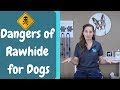 Dangers of Rawhide for Dogs