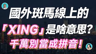 國外斑馬線上的「XING」是啥意思？千萬別當成拼音！